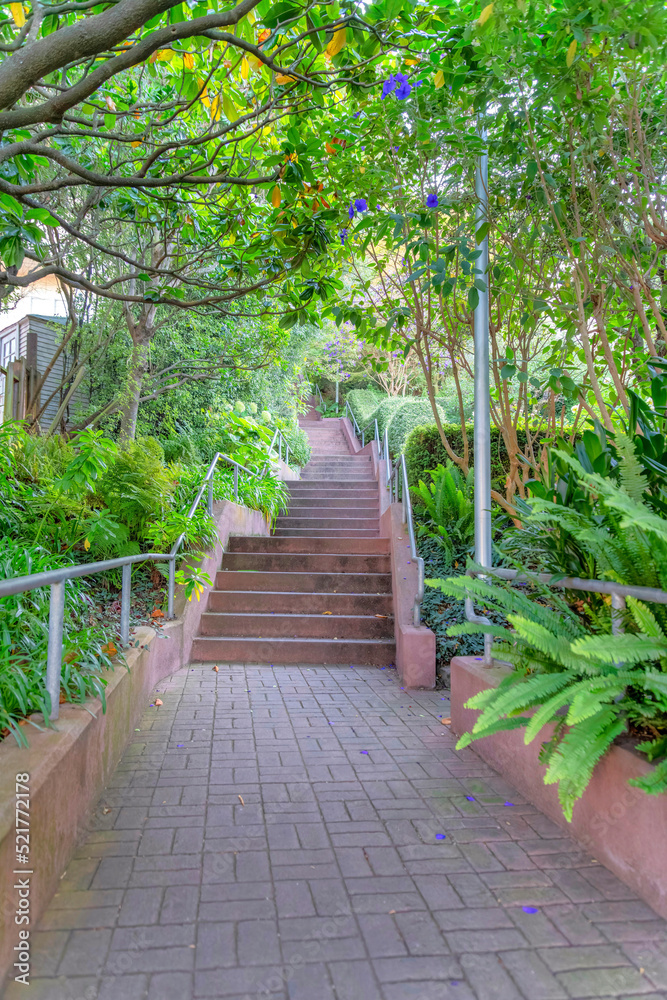 Bricks pathway with railings in the middle of a garden in San Francisco, California