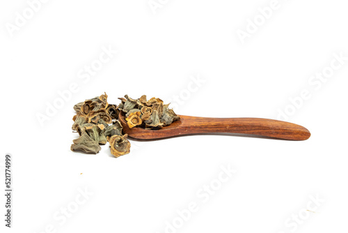 Wallpaper Mural Kumbi or careya arborea on white background Torontodigital.ca