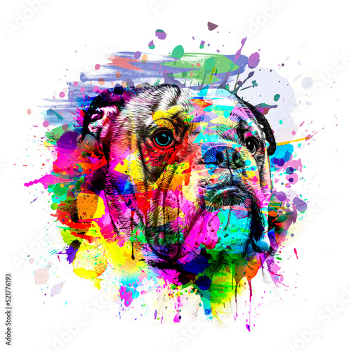 abstract colored dog muzzle...