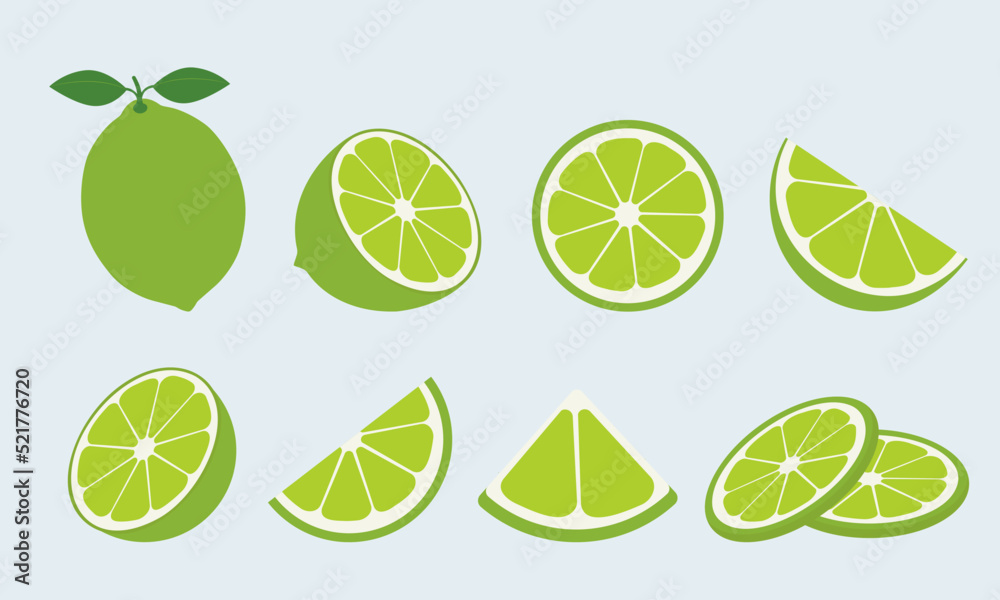 Big vector set of fresh limes. Lime fruit isolated on blue background. Vector illustration for design and print