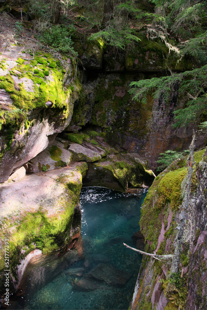 Fototapeta premium View of Avalanche Creek in Montana