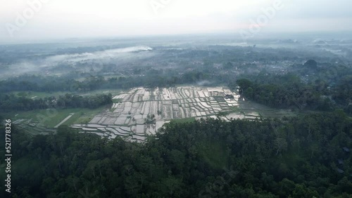 Plowed and flooded rice fields surround with forested areas, village seen at distance. Aerial shot of cultivated land at north of Ubud town, central Bali in evening twilight photo