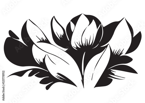 Fototapeta Naklejka Na Ścianę i Meble -  Floral Black and White Illustration