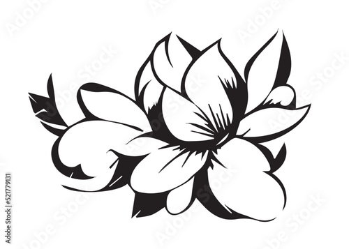Fototapeta Naklejka Na Ścianę i Meble -  Floral Illustration Black and White
