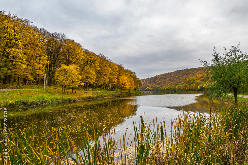 Autumn lake in yellow forest. Dry colofuul leaves fall on ground from trees. Autumnal landscape