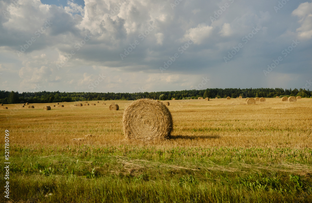 Straw bales on the field.