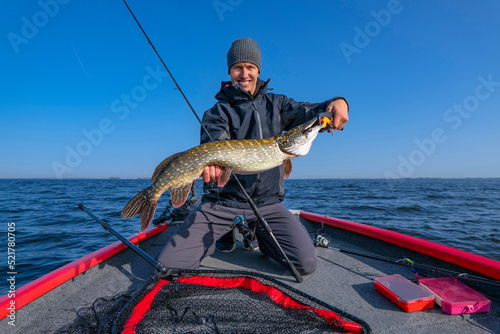 Pike fishing. Successful fisherman hold big muskie fish photo