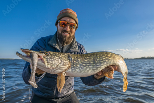 Success pike fishing. Fisherman in sunglasses holds muskie fish photo