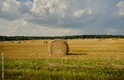 Straw bales on the field.
