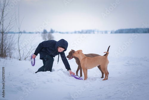 The girl trains the American pit bull terrier on the field in winter. There is artistic noise.