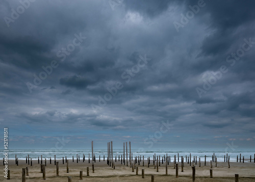 Petten, Noord-Holland photo