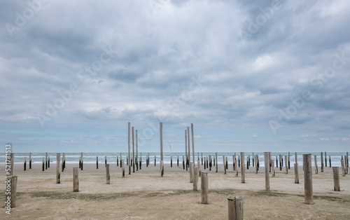 Petten, Noord-Holland photo
