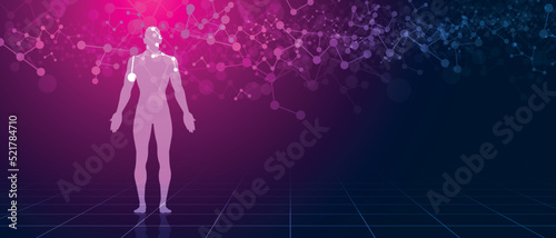 sistema immunitario, corpo umano, silhouette,	