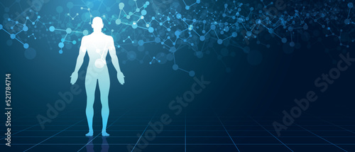sistema immunitario, corpo umano, silhouette,	 photo