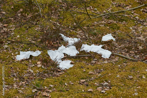 Weggeworfene Papiertaschentücher im Wald photo