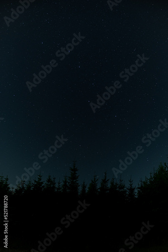 Constellation "Great Dipper" over a spruce forest