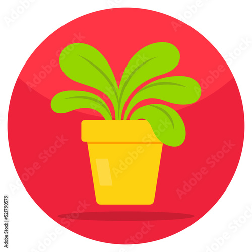 Vector design of potted plant