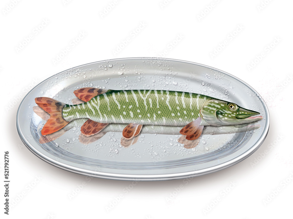 brochet, poisson, plateau, pêche, aliment, frais, fruits de mer, mer, animal, ailette, sain, queue, fond blanc, argent, attraper, repas, cuisiner, plat, viande, fraîcheur brochet, poisson, plateau, pêche, aliment, frais, fruits de mer, mer, animal, ailette, sain, queue, fond blanc, argent, attraper, repas, cuisiner, plat, viande, fraîcheur