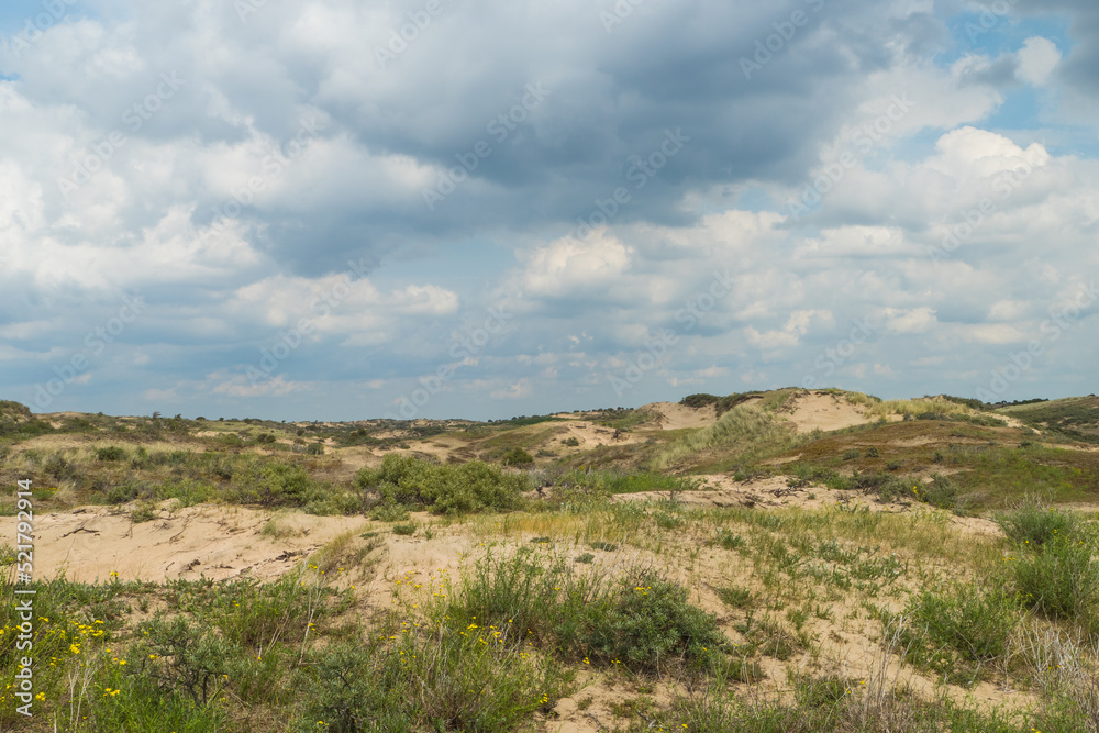 Dune Landscape and cloudy Sky