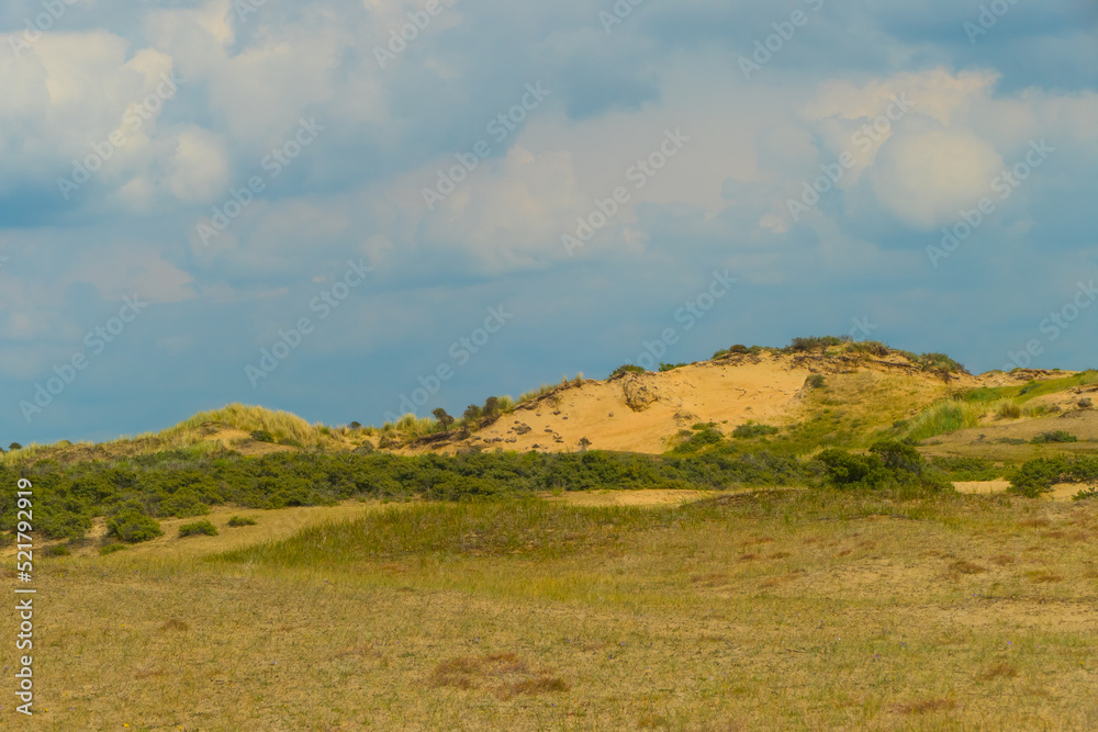 Dune Landscape of Noordwijk Netherlands Dune Landscape of Noordwijk Netherlands