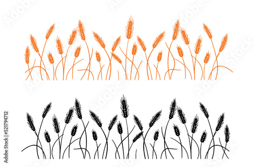 Ears of wheat, wheat silhouette hand drawn doodle style.Vector illustration