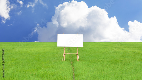 Blank billboards located on wide meadows with sky background and huge clouds.