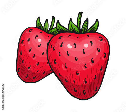 Strawberry two red berries isolated on white. Farm fresh whole ripe berry. Tasty sweet fruit eco food. Juicy strawberries handdrawn clip art for farmers market poster, sticker print, embroidery patch