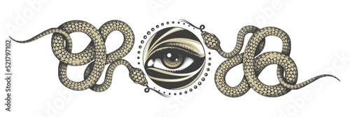 All Seeing Eye and Crawling Snakes Occultic Illustration