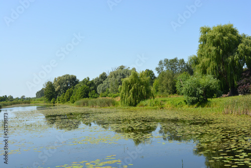 Natural landscapes of the Bug River - trees  hills  reeds  grass  water lilies  clear and transparent water. The river is located on the village of Rybienko Nowe  the city of Wyszkw  Poland.