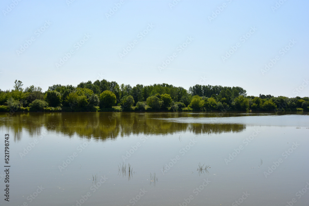 Natural landscapes of the Bug River - trees, hills, reeds, grass, water lilies, clear and transparent water. The river is located on the village of Rybienko Nowe, the city of Wyszkw, Poland. Natural landscapes of the Bug River - trees, hills, reeds, grass, water lilies, clear and transparent water. The river is located on the village of Rybienko Nowe, the city of Wyszkw, Poland.