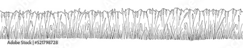 Field graphic black white landscape sketch long illustration vector 