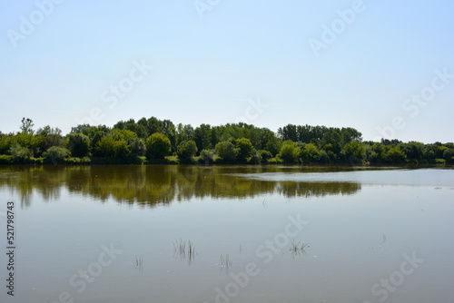 Natural landscapes of the Bug River - trees, hills, reeds, grass, water lilies, clear and transparent water. The river is located on the village of Rybienko Nowe, the city of Wyszkw, Poland.