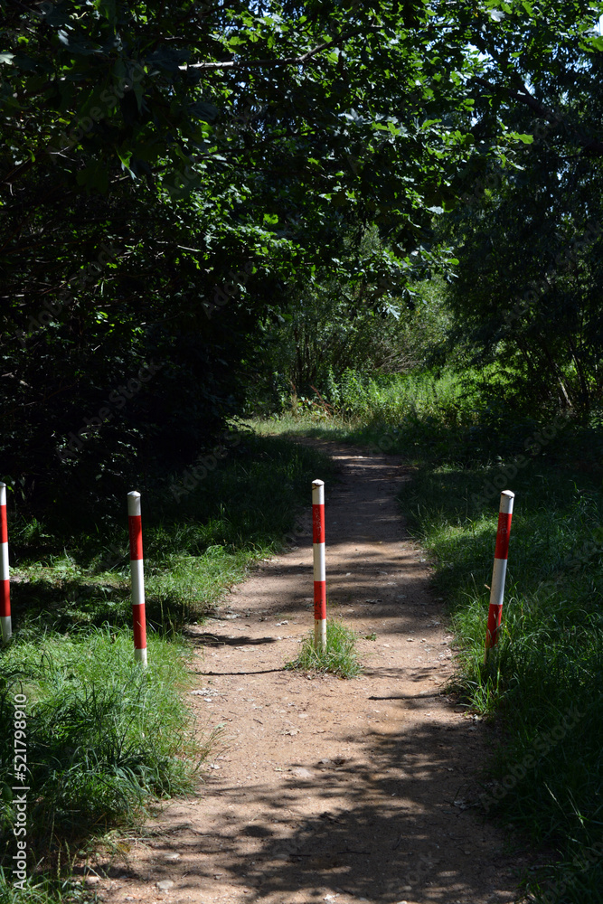 Fototapeta premium Forest of deciduous trees with a path, a small walking path that stretches along Bug River of village Rybienko Nowe, city Wyszkw, Poland. Unusual natural landscapes with forest, river and blue sky.