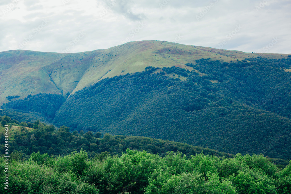 landscape mountain view in summer