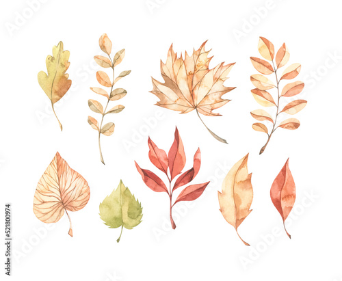 Hand drawn watercolor vector illustrations. Set of fall leaves, acorns, berries, spruce branch. Forest design elements. Hello Autumn! Perfect for seasonal advertisement, invitations, cards