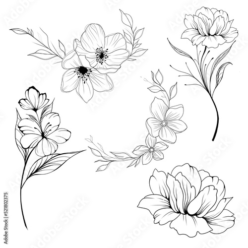 Big set Beautiful sketch of a tattoo - a delicate twig with flowers . Flowers...