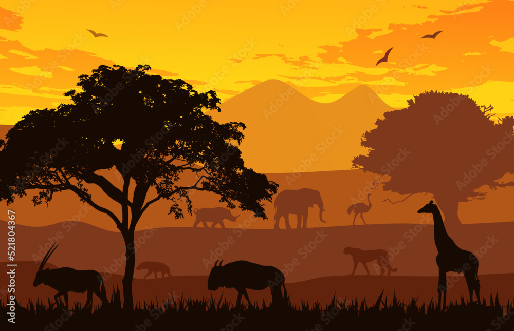 The Best Savannah Animals Vector Illustration For Design About Wildlife