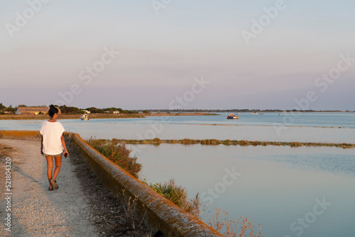 Marshes. Panoramic of National Nature Reserve of Lilleau des Niges
Ré Island. Les Portes-en-Ré, Francia