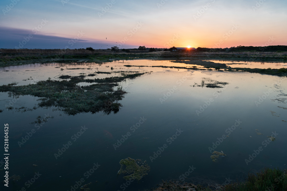 Sunset in the marshes. Panoramic of National Nature Reserve of Lilleau des Niges
Ré Island. Les Portes-en-Ré, Francia