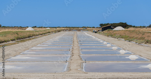 Salt marshes. Panoramic of National Nature Reserve of Lilleau des Niges
Ré Island. Les Portes-en-Ré, Francia photo