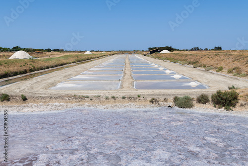 Salt marshes. Panoramic of National Nature Reserve of Lilleau des Niges
Ré Island. Les Portes-en-Ré, Francia photo