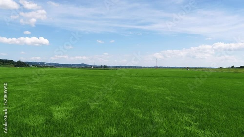夏の田園風景の空撮