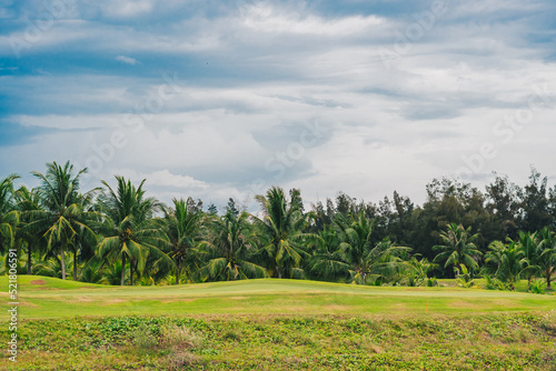 Fototapeta Naklejka Na Ścianę i Meble -  Beautiful nature landscape wallpaper background. Bright green colours summer sun day time. Tropical palm trees bushes glade grass clouds sky park. Relax calm meditation