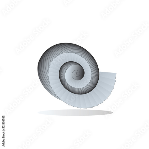 Nautilus shell illustration on white background with monochrome style. Spiral sea shell graphic design.