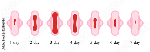 Menstrual period blood on sanitary pad set depending on the day of the cycle.