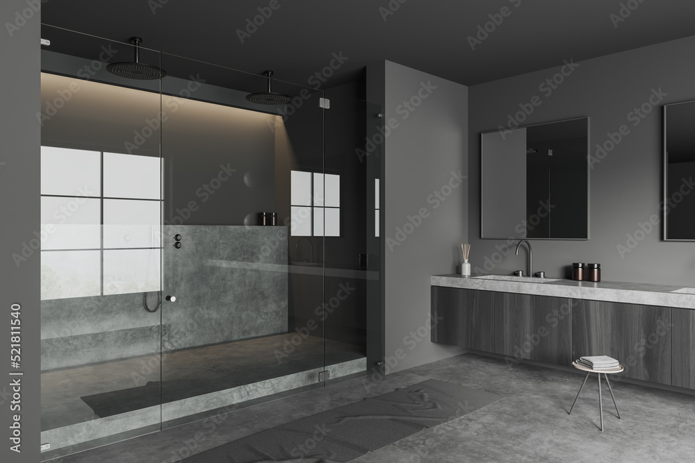 Grey bathroom interior with sink and douche, bath accessories Grey bathroom interior with sink and douche, bath accessories
