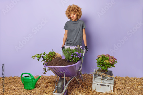 Female gardener poses with wheelbarrow involved in agriculture plants flowers enjoys spring gadening dressed in casual domestic clothes isolated over purple background. Cultivating and botany photo