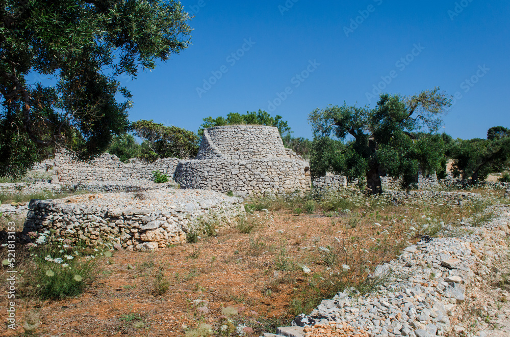 Una pajara, tipica costruzione rurale del Salento in Puglia, fra gli ulivi secolari che crescono in un campo dalla tipica terra rossa