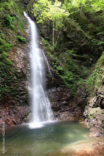 東京都桧原村 夏の払沢の滝