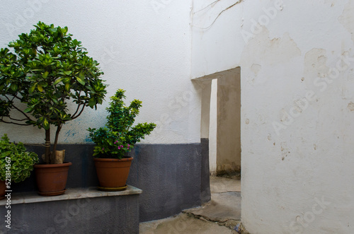 Un tipico cortile dai muri bianchi in un borgo del Salento in Puglia © Andrea Vismara
